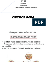Osteologia Veterinária.pptx