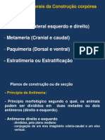 Metameria: Segmentação em Animais | PDF