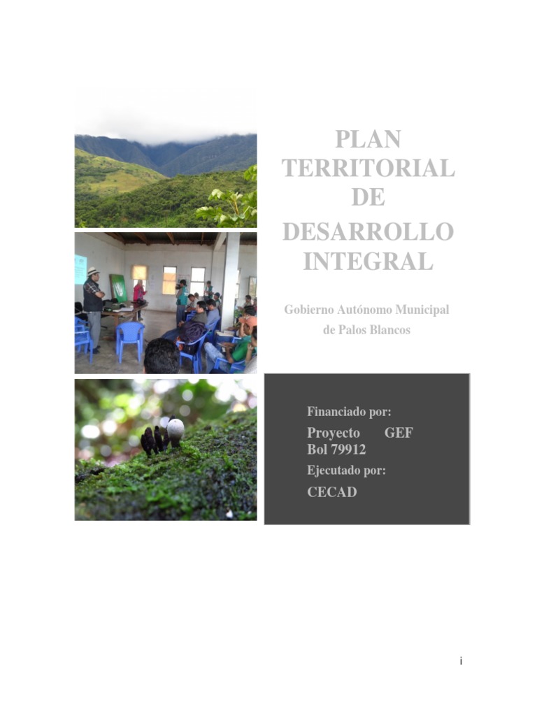 Plan de Desarrollo Integral Palos Blancos | PDF | Bolivia | Planificación