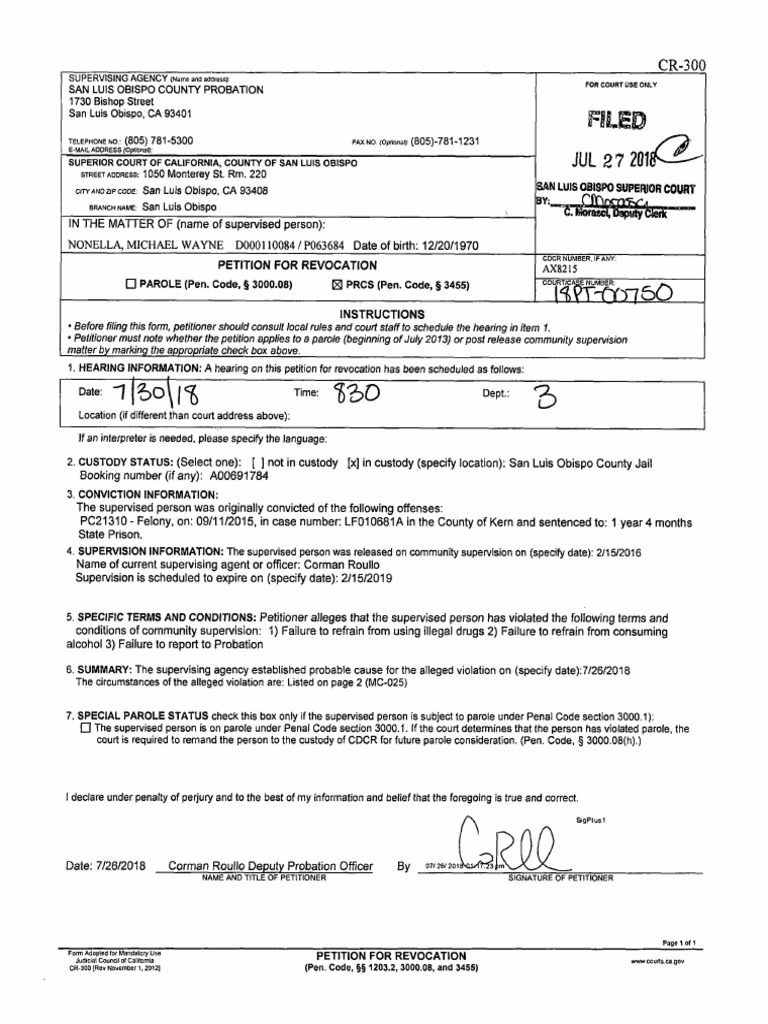 18PT 00750 PDF PDF Probation Parole