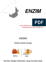 Enzim (1).pptx