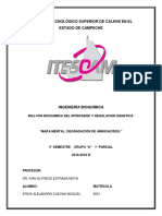 Mapa Mental Degradacion