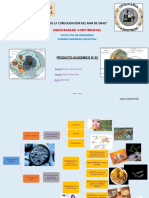 Producto Academico Biologia PDF