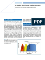 5 Item PDF