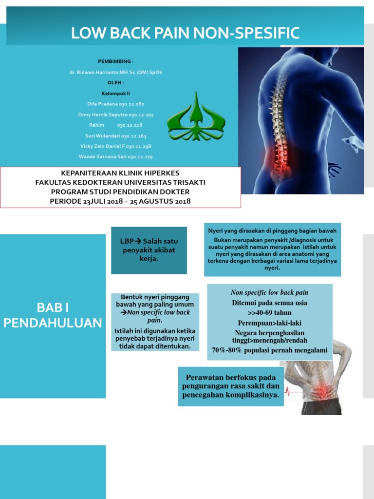 LOW BACK PAIN NON-SPESIFIC | PDF