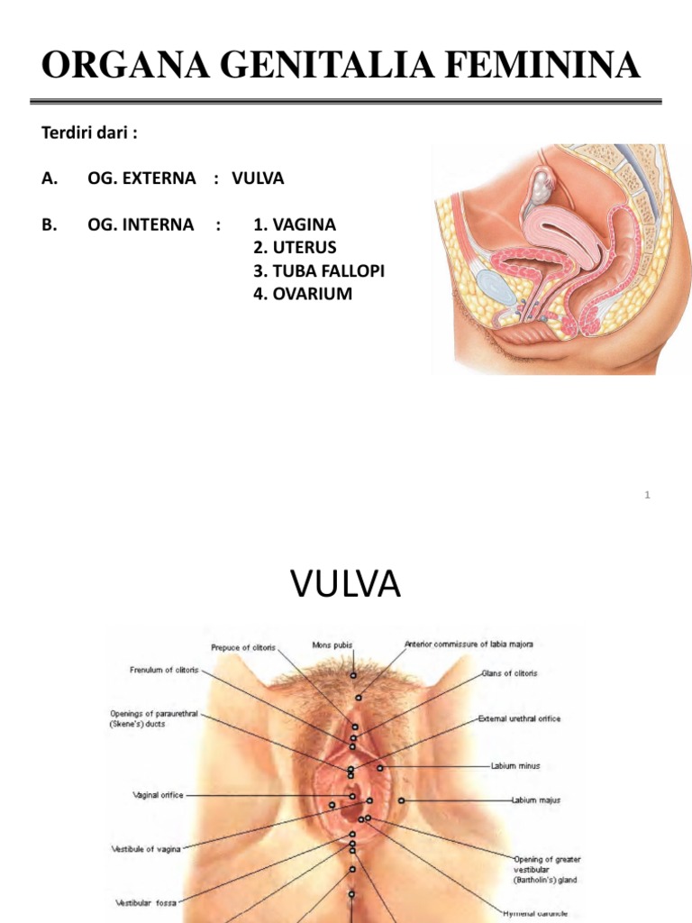 Rus hammomida jinsiy aloqada bolgan yosh er-xotin