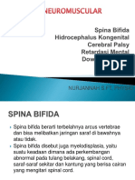 Spina Bifida, CP, DS, Retardasi Mental