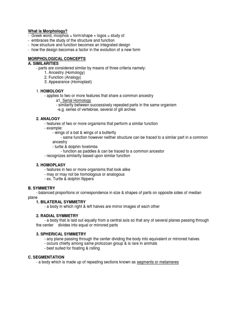 What Is Morphology Biology Diagrams