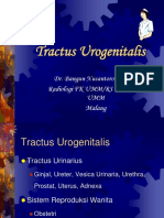 Tractus Urogenitalis Dr Bangun