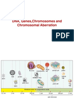 DNA, Gene, Chromosome and Chromosomal Aberration