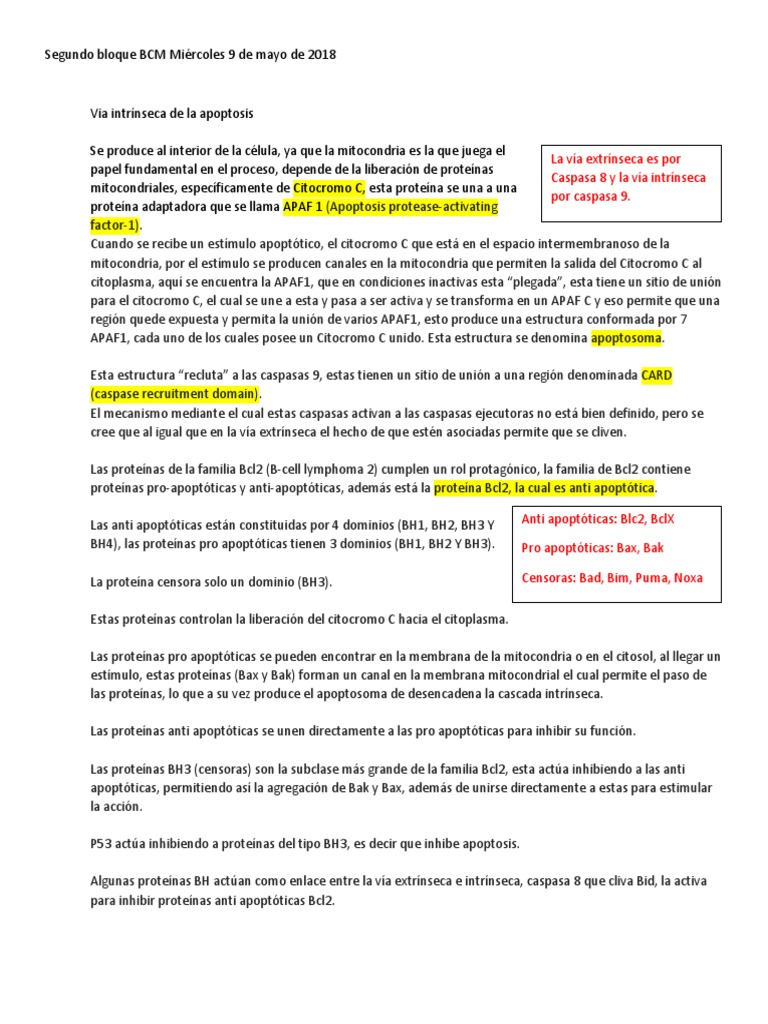 Vía Intrínseca de la Apoptosis Celular | PDF | Bcl 2 | Apoptosis