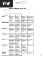 colin mckenzies lab report rubric