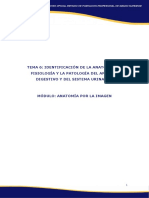 Ud6 Api PDF