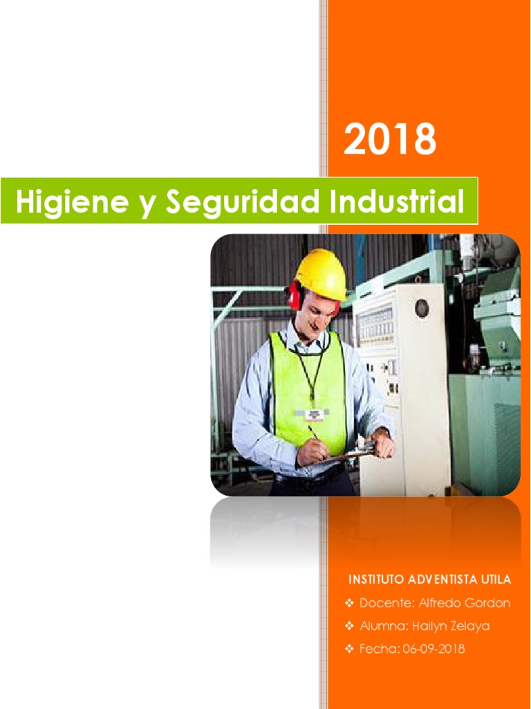 Sistema de Higiene y Seguridad Industrial | PDF | Seguridad y salud ...