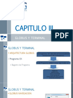 Cap 3 Globus y Terminal