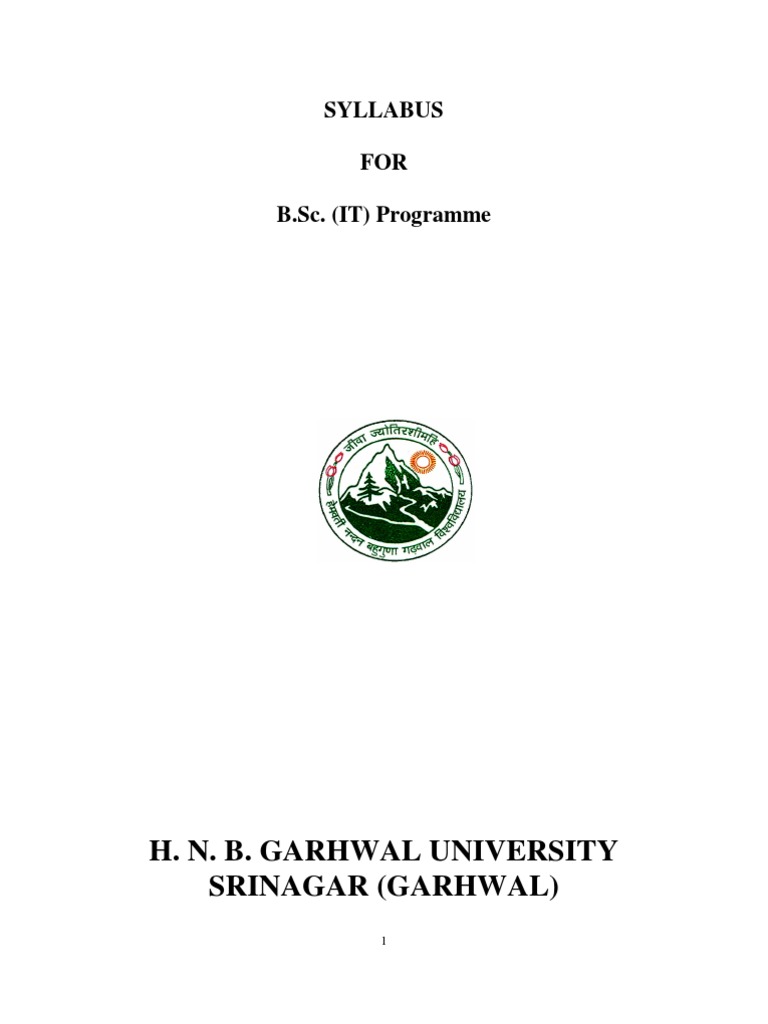 B.Sc. IT Programme Syllabus Overview | PDF | Relational Database ...