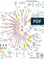 Tajwid Diagram PDF