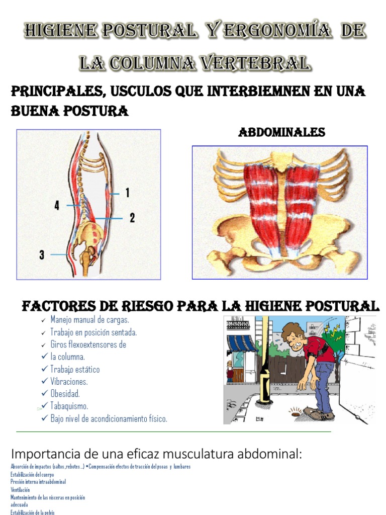 Higiene Postural y Ergonomía de La Columna Vertebral | PDF | Dolor ...