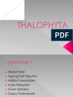 THALOPHYTA