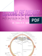 Materi Kuliah External Eye Disease