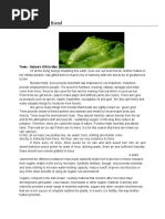 Download Nature Our Best Friend by Gizmofr33k SN38964812 doc pdf