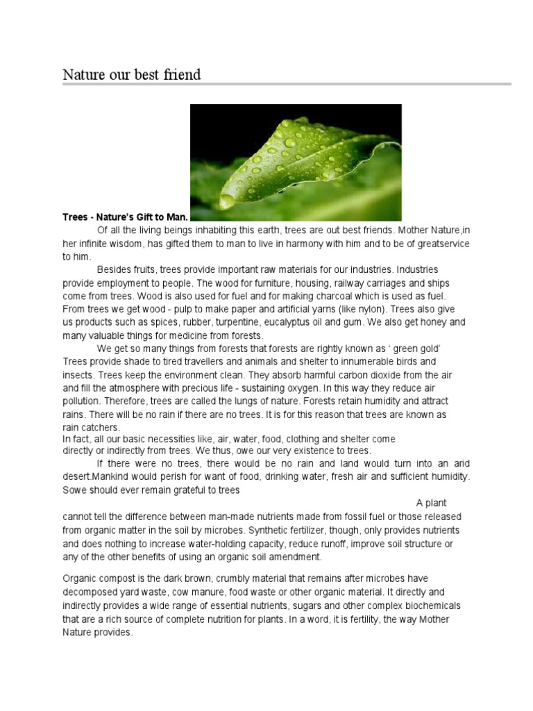 Nature is the best friend of human being image