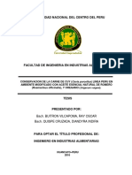 Buitron Vilcapoma - TESIS PDF