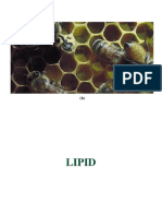 02 Lipid