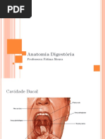 Anatomia Digestória