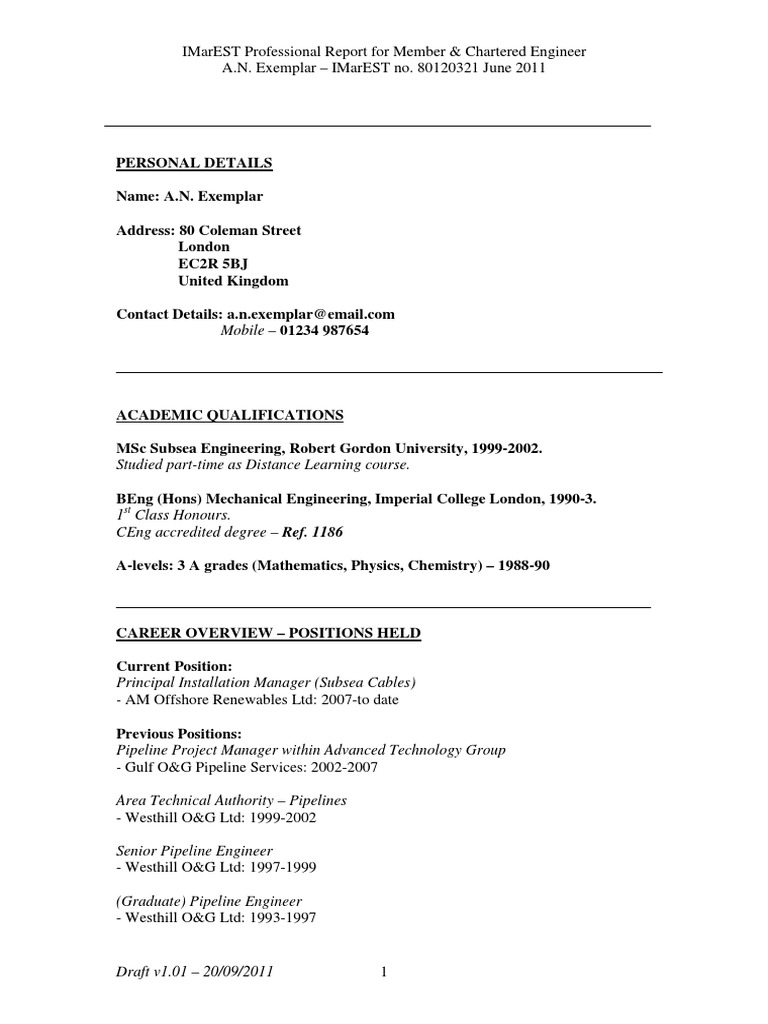 Example Professional Report | PDF | Engineer | Science And Technology