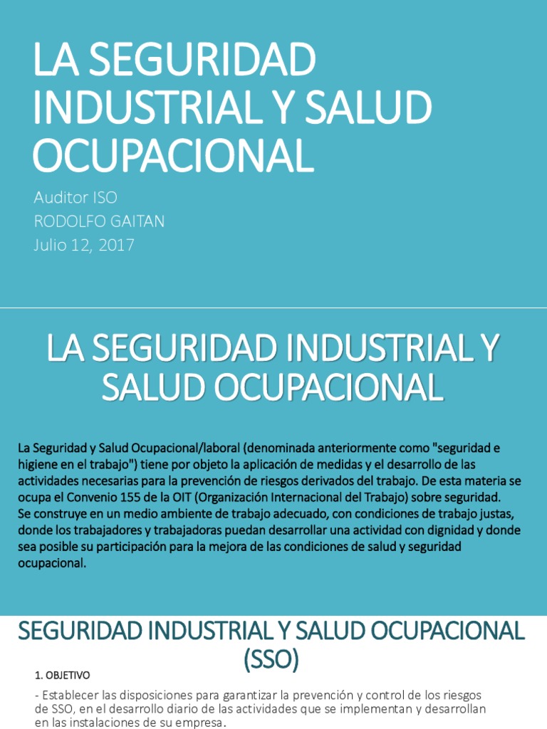 Seguridad y Salud Ocupacional en Empresas | PDF | Seguridad y salud ...