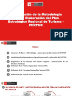 Metodologia PERTUR 2017 PDF