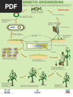 Plant Genetic Engineering