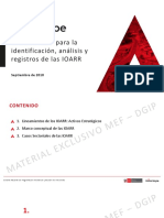 Lineamientos IOARR VF PDF
