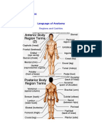 Language of Anatomy: API Notes Home Page