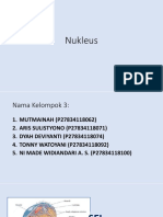 Nukleus Tugas BioMed Kelompok 3