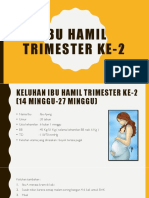 Ibu Hamil Trimester Ke-2