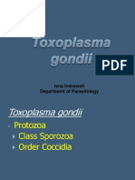 Senin 20 Oktober 2014 - Parasit 1 - Parasitologi - Toxoplasma - 12