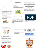Triptico Informatica PDF