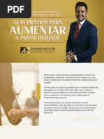 Guia Pratico Produtividade