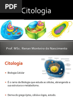 Aula 1 - Citologia