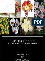 Export Import Floriculture in India
