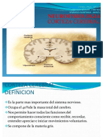 Corteza-Cerebral dos.pdf