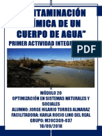 TorresAlmaraz JorgeHilario M20S1 Contaminacionquimicadelagua