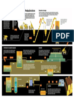 Proceso Del Oro