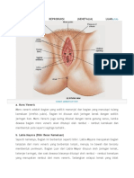 Alat Reproduksi Wanita