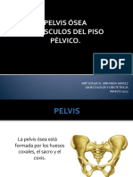 pelvisosea-131111171353-phpapp01
