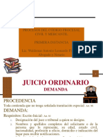 Presentacion Proceso Civil (Primera Instancia) PDF
