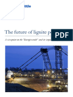 Future Of Lignite Power.pdf