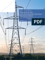 KPMG Prospects for the CEE Electricity Market Secured